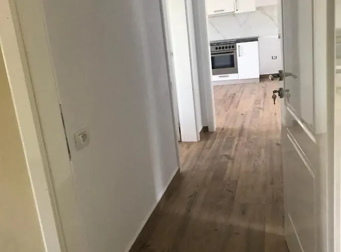 Flat Center 4 * 爱尔巴桑